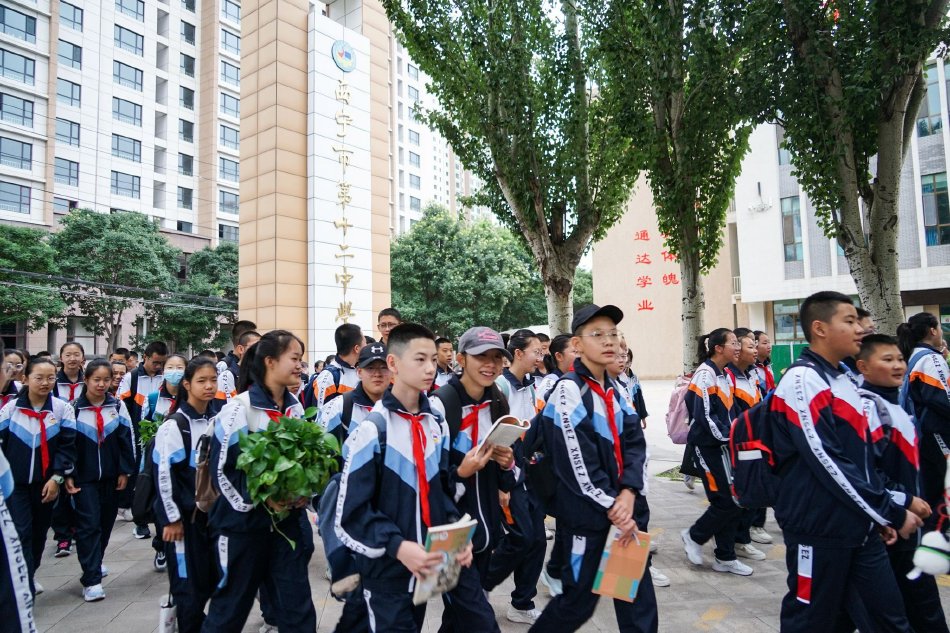 无码波多野结衣在线