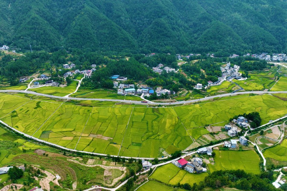 外国三级黄片儿