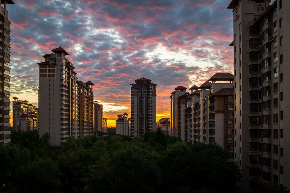 雜交派對