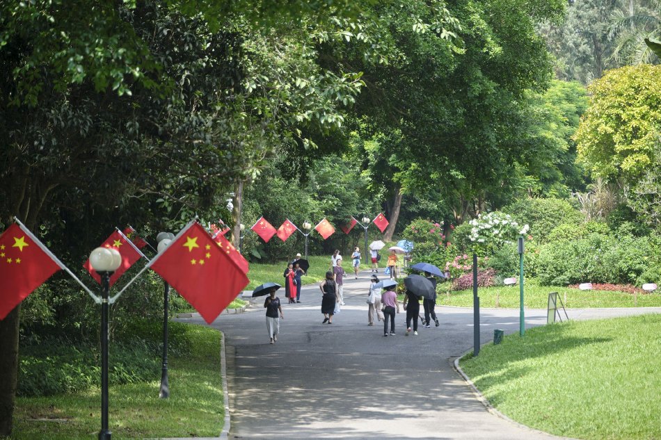 欧州一极片
