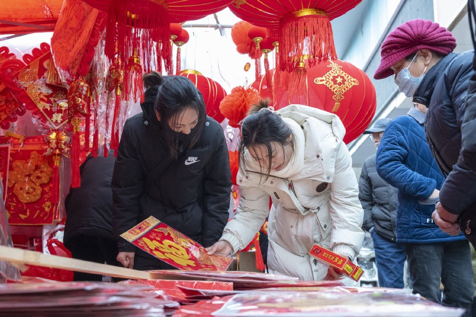 美女视频裸体视频免费观看