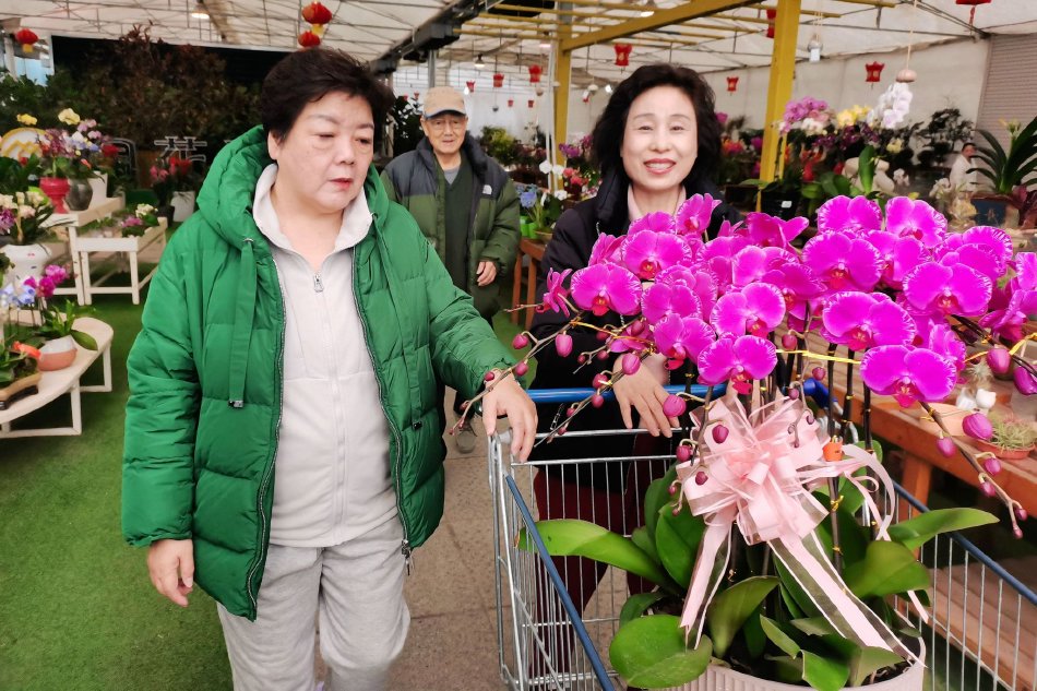 欧洲三级片网站