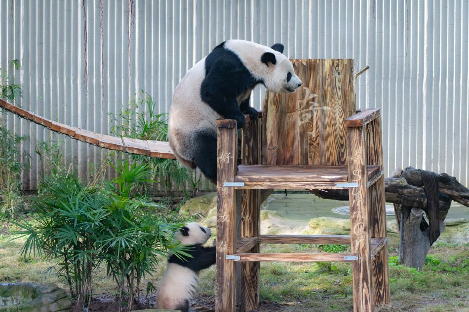 欧美一区三区