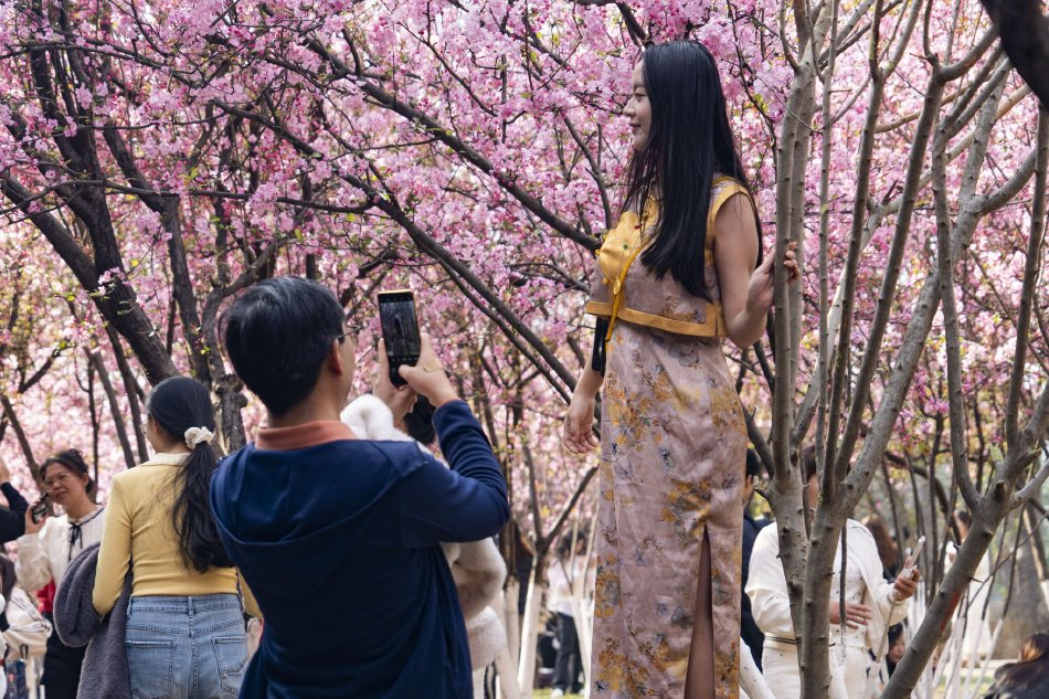 人与禽一级婬片A片69式按摩