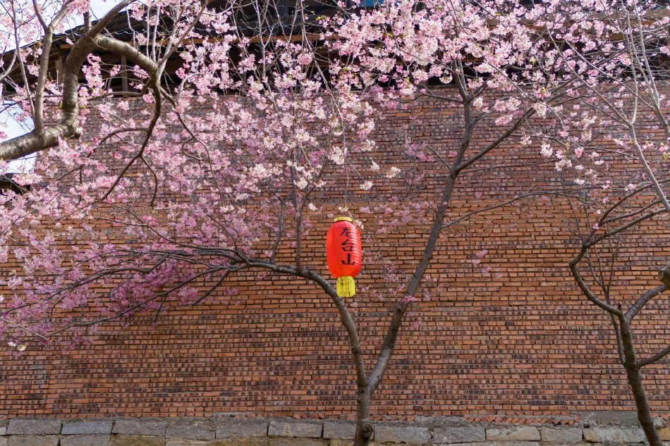 浪花直播