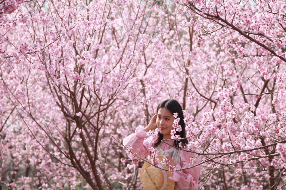 欧美精品A电影