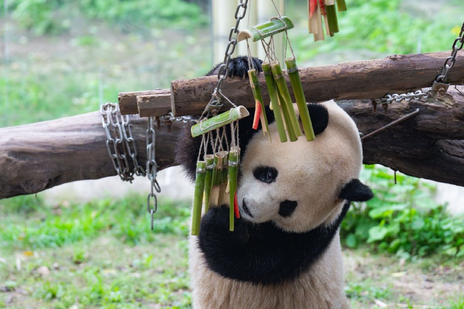 黄片下载小黄三级黄片