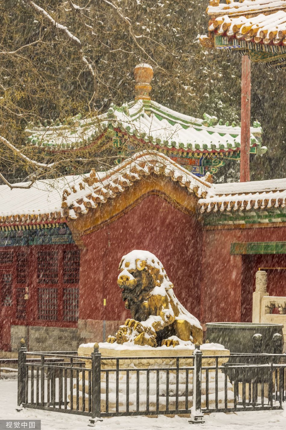 欧美性    狂欢