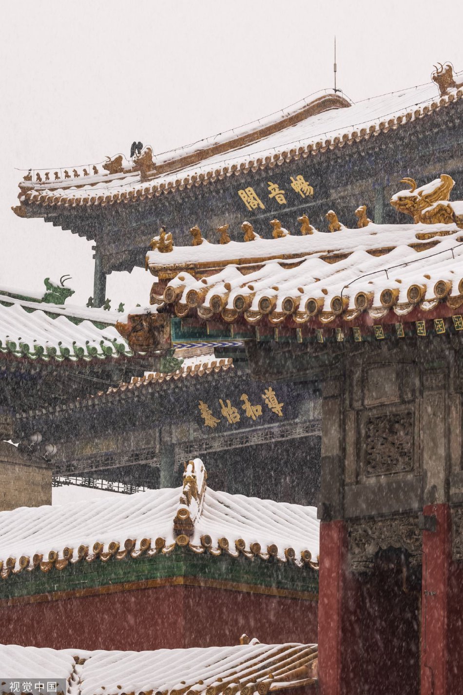 人妻干P干
