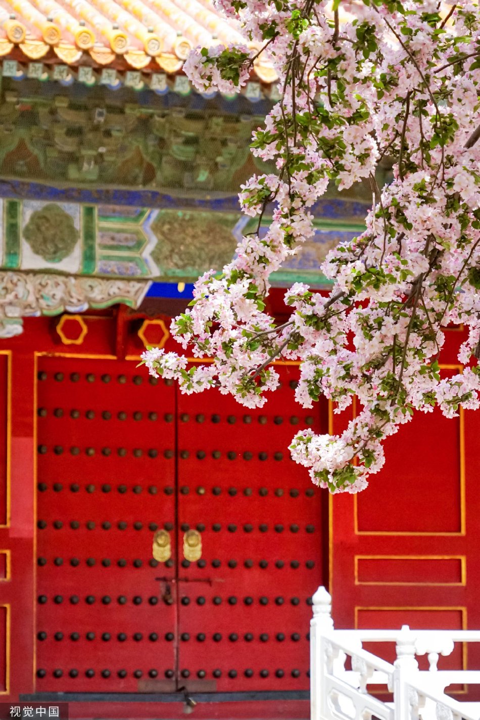 焰灵姬