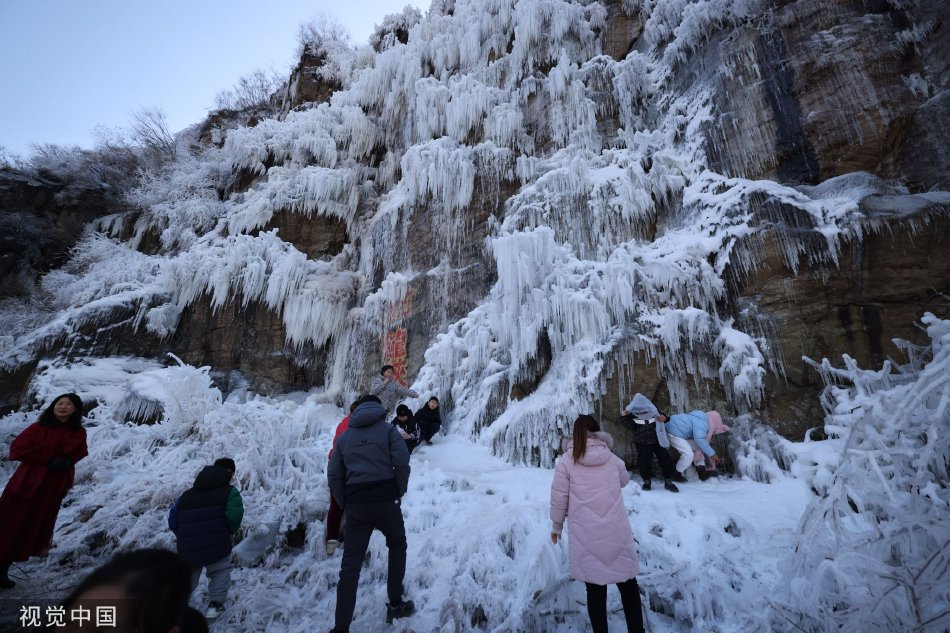 遠山雪菜