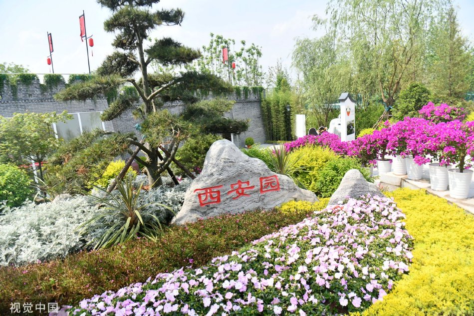 强制高潮(H)调教
