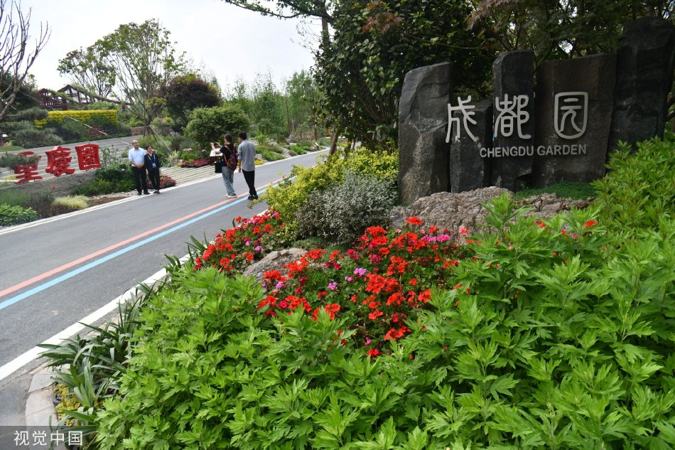张柏芝一级露下面毛