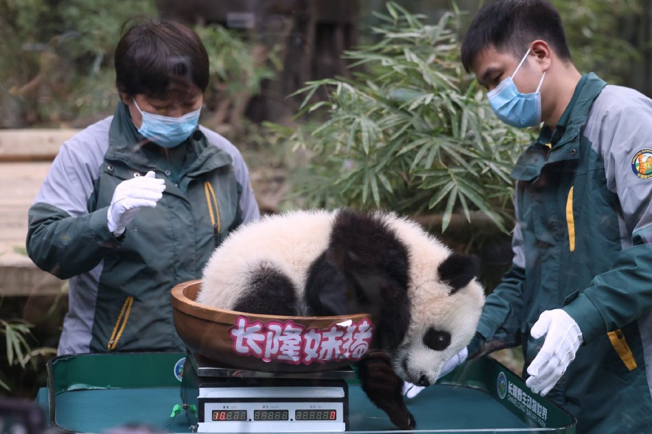 黄色软件大全