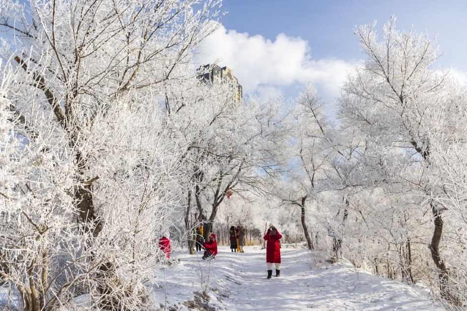 網紅雪碧