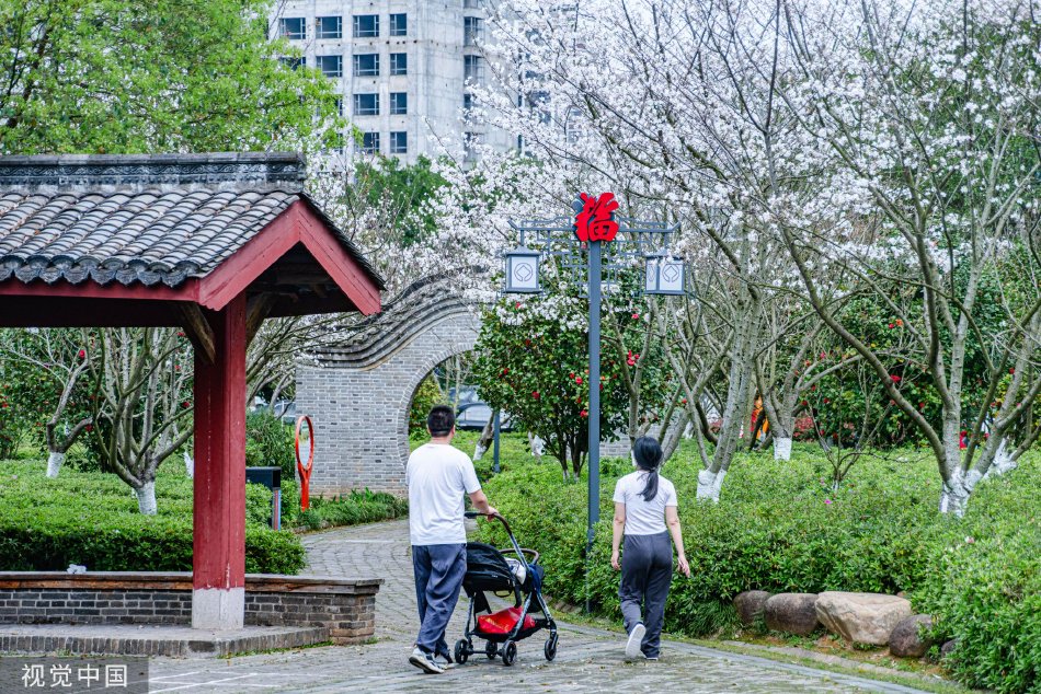一区二区三区免费