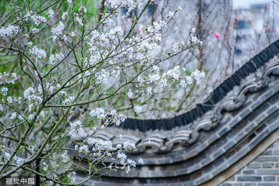 阿富汗
