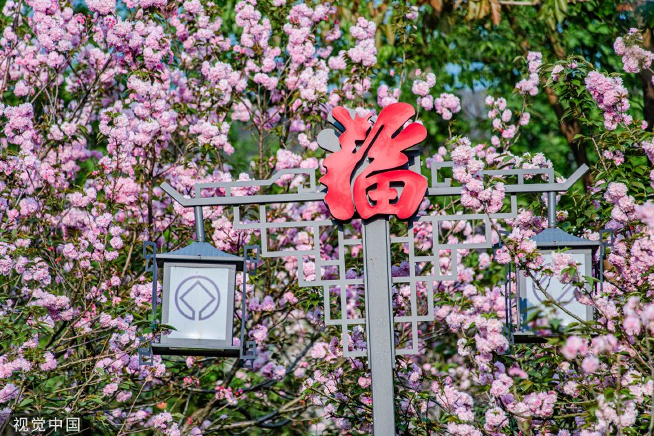 美咲結衣