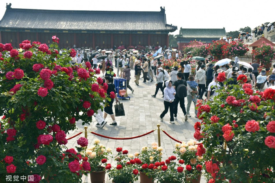 www.17.com嫩草影院