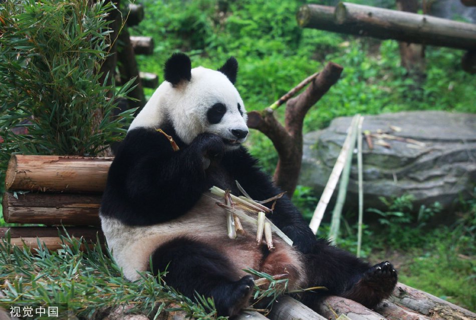 久久综合久