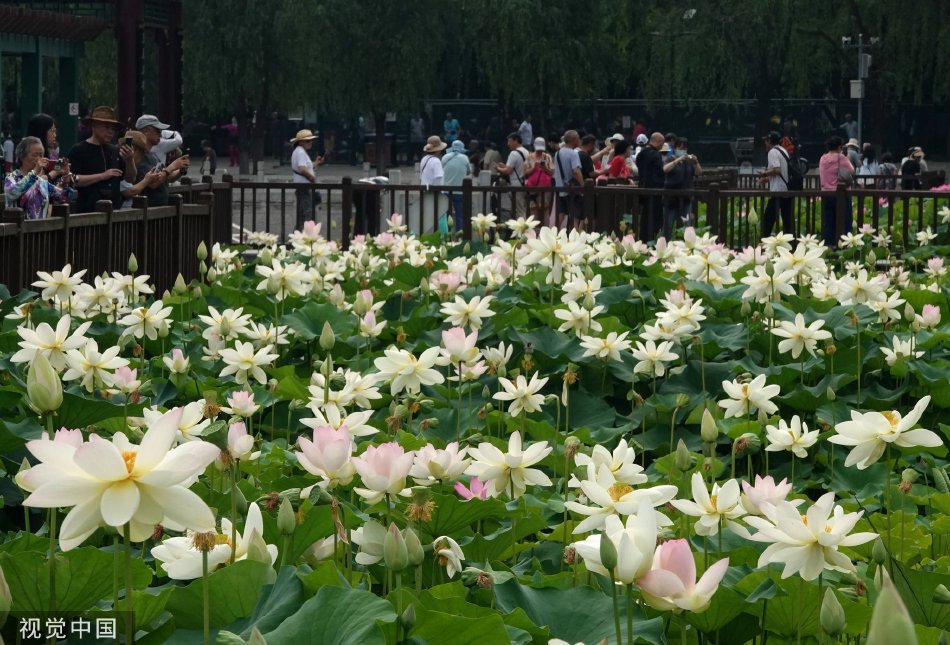 女人18片毛片60分钟黄菲菲