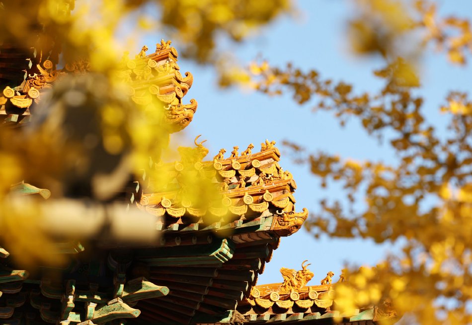 蜜 芽 成人