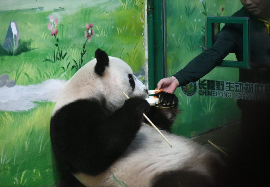 亚洲大众偷拍洗澡