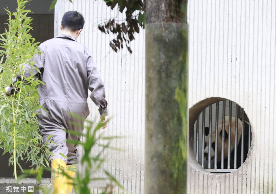 欧美另类老妇人黄色片