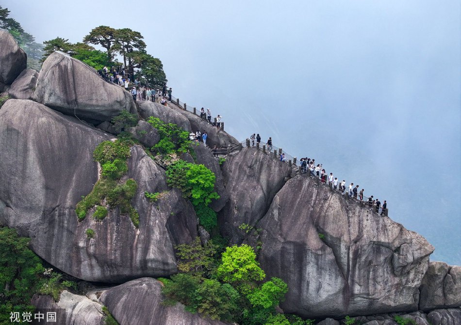 骚屄