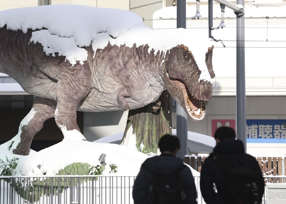 崩壞學園