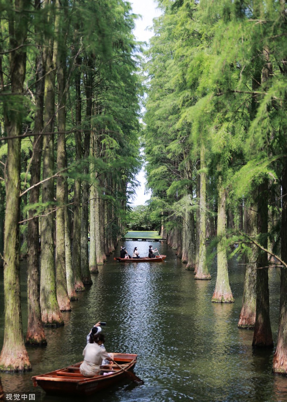Ass日本嫩模Picc