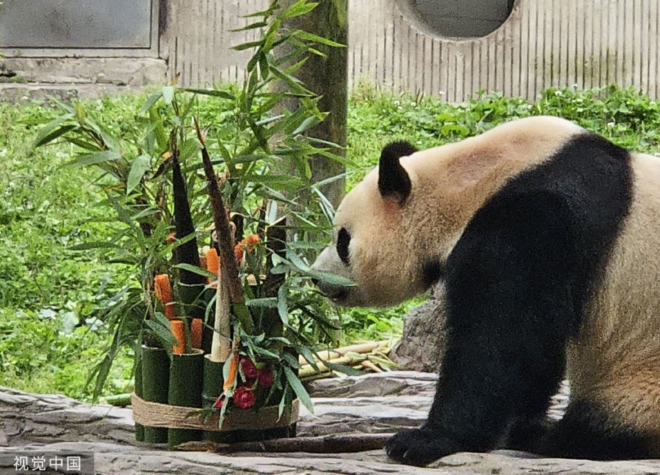 亚州精品久久久久久久久