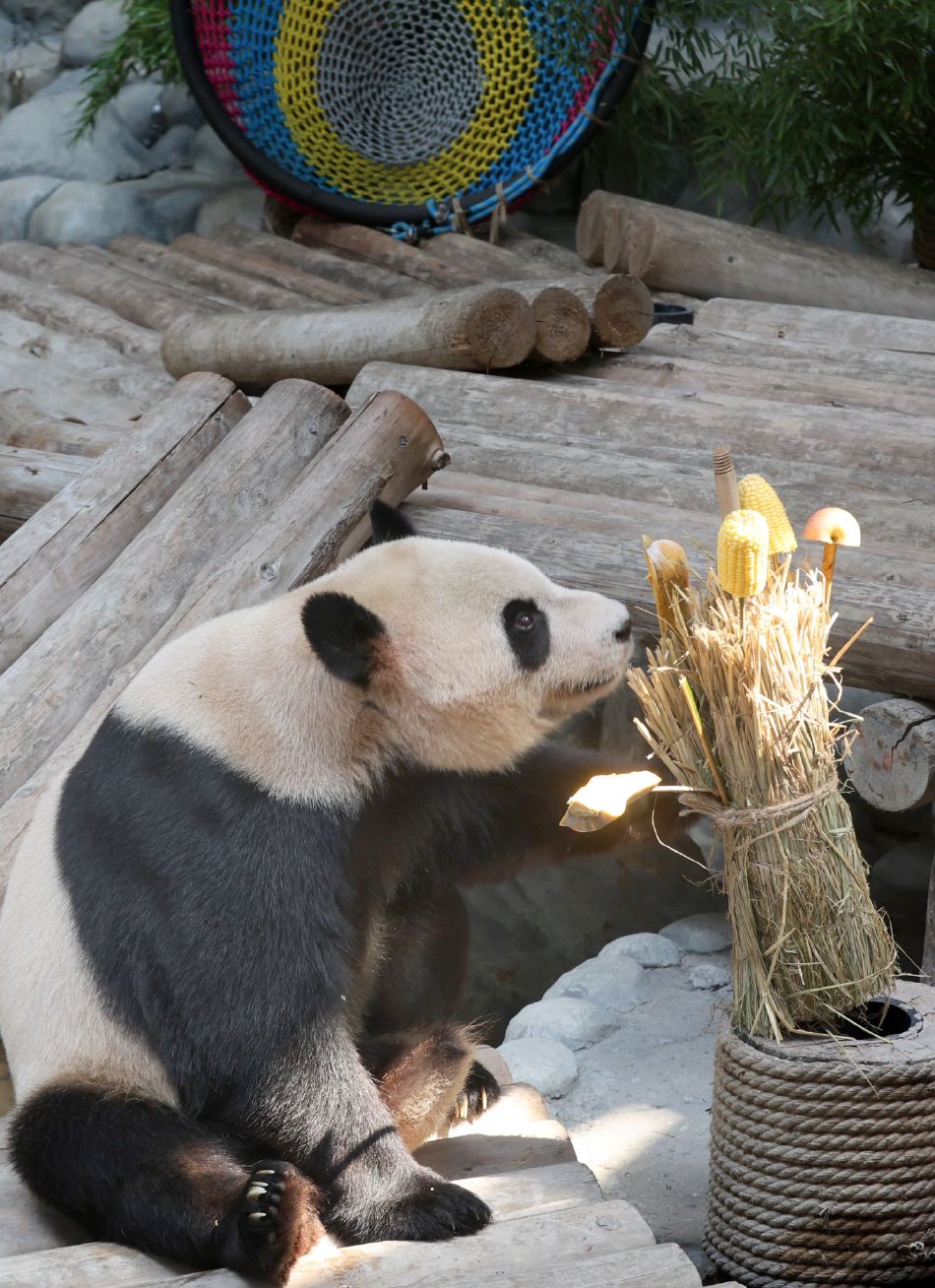 班长脱了奶盖 让我爽了一节课