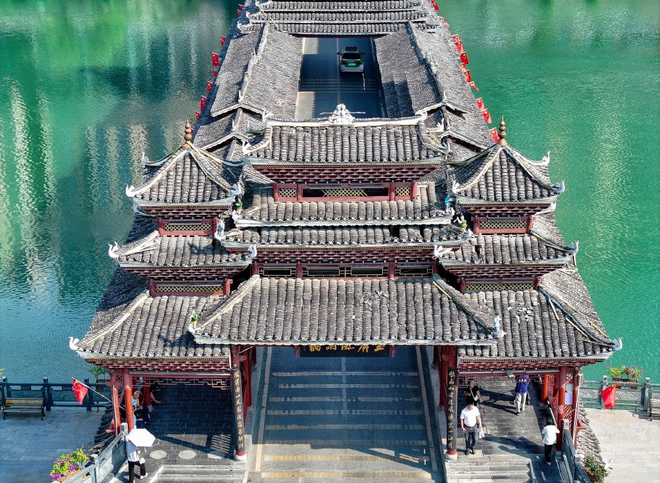 新北市樹林區亂倫
