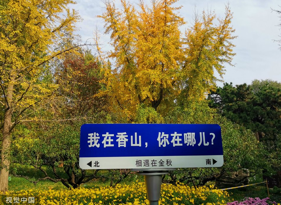 欧美性    狂欢