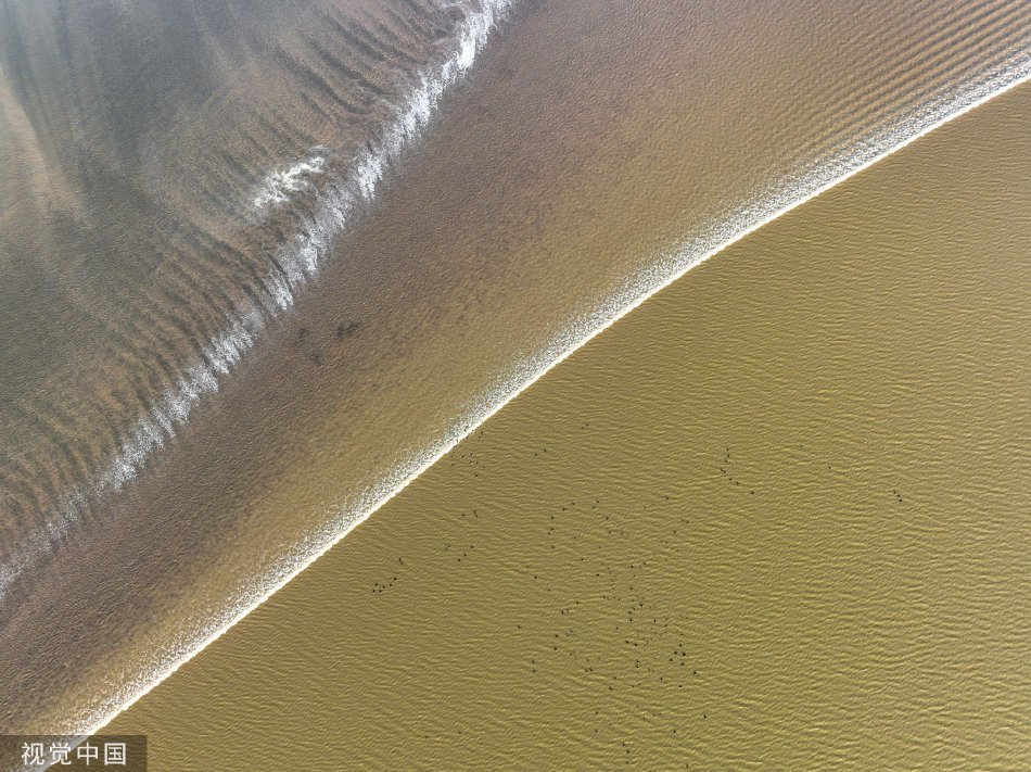 www.黄色视频