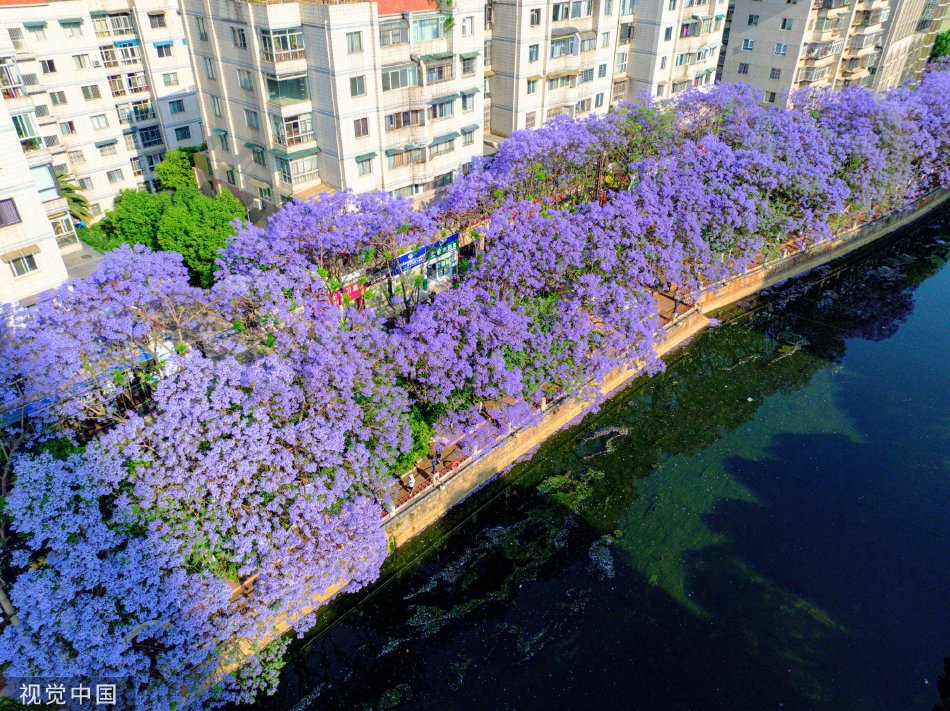 2014AV天堂