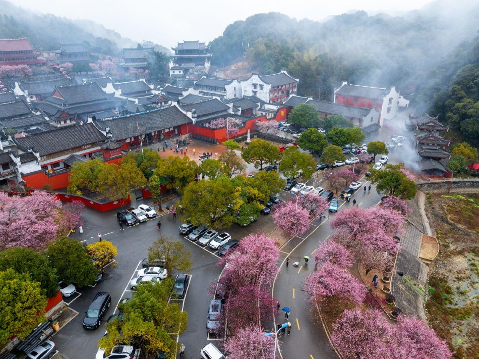 黄色视频那里有时