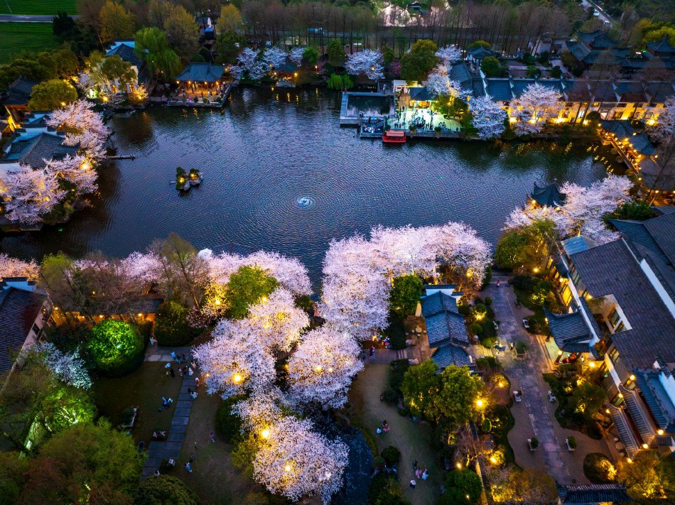 多毛屄