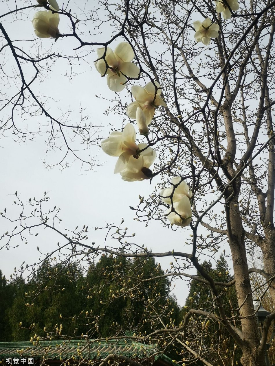 女人裸体秘 无遮挡屁股