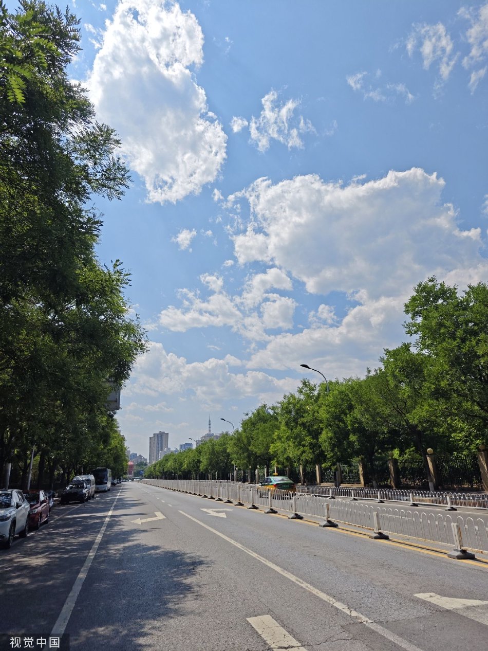 美女被c网站