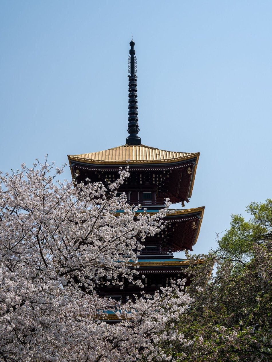 特攝