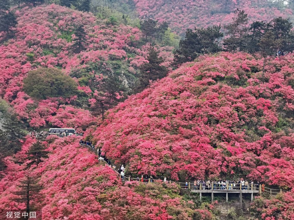 一区二区三区在线