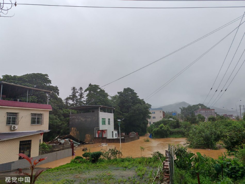 胸大的邻居阿 水野朝阳