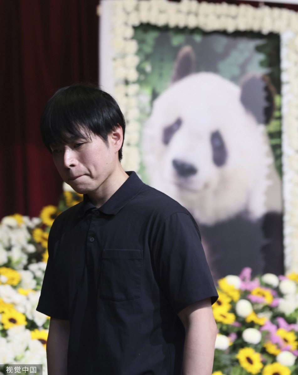 七龍珠布馬