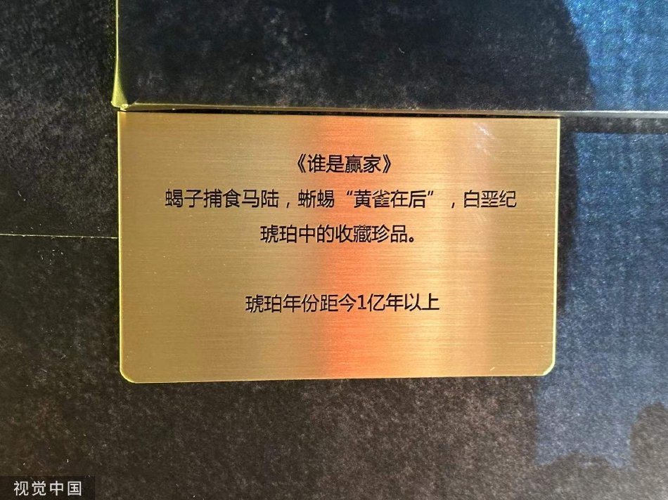 黑人狂躁刘玥XXⅩXX