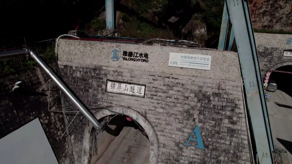小沢菜穂