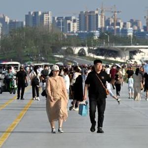 激情拳交Av