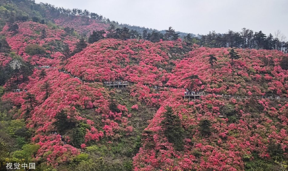 麻豆影院