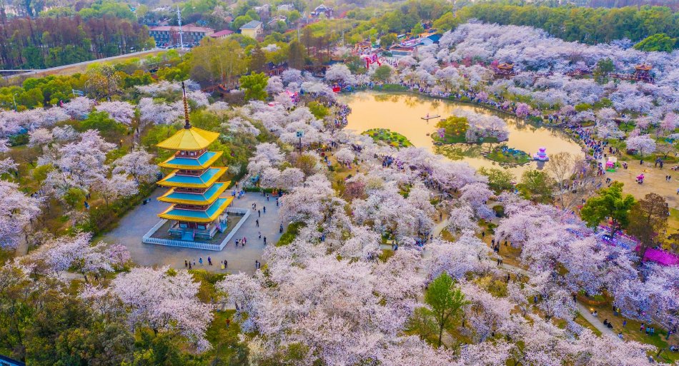 夏目彩春